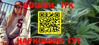 гидропоника Камышлов