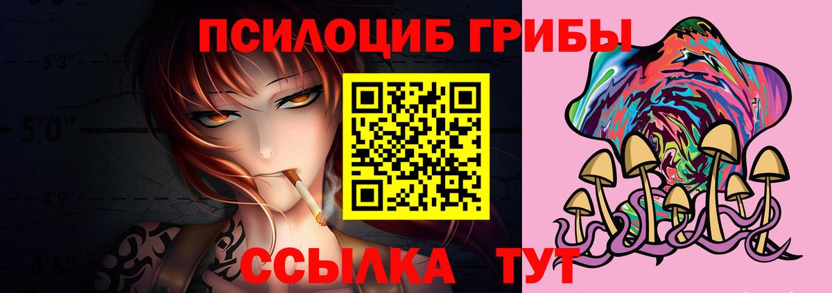 Псилоцибиновые грибы GOLDEN TEACHER  Вход с VPN  Волгоград 